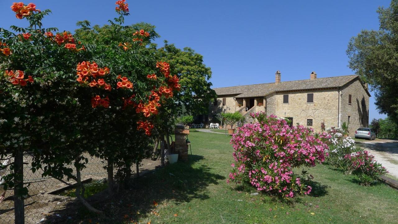 Agriturismo Podere Luchiano Amelia Eksteriør bilde