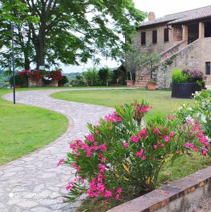 Agriturismo Podere Luchiano Amelia Eksteriør bilde