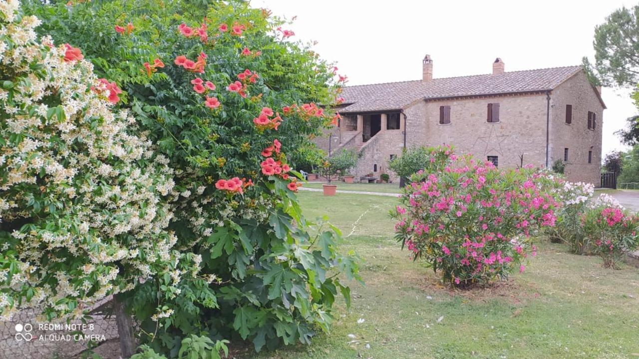 Agriturismo Podere Luchiano Amelia Eksteriør bilde