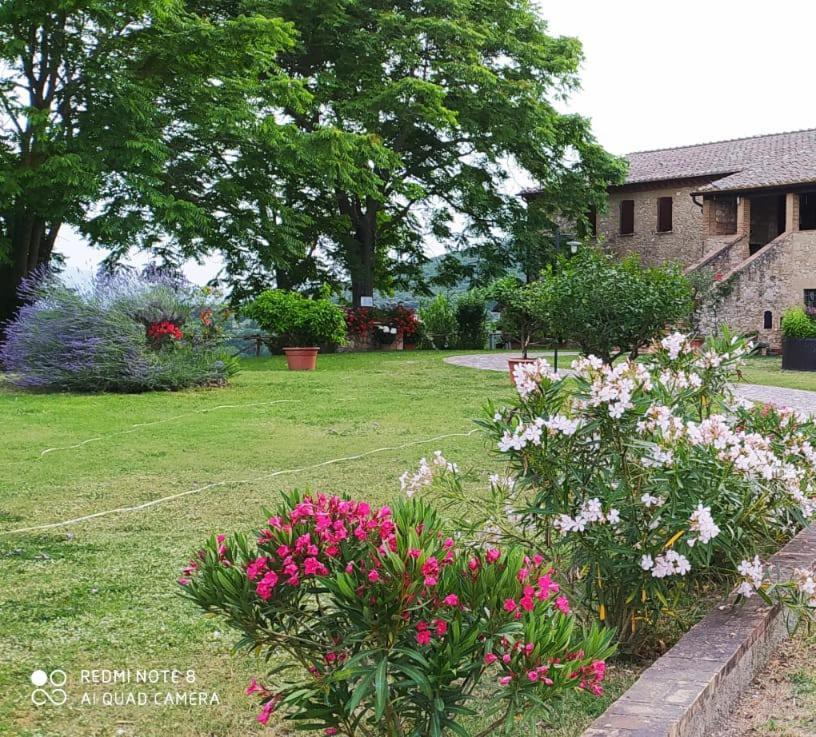 Agriturismo Podere Luchiano Amelia Eksteriør bilde