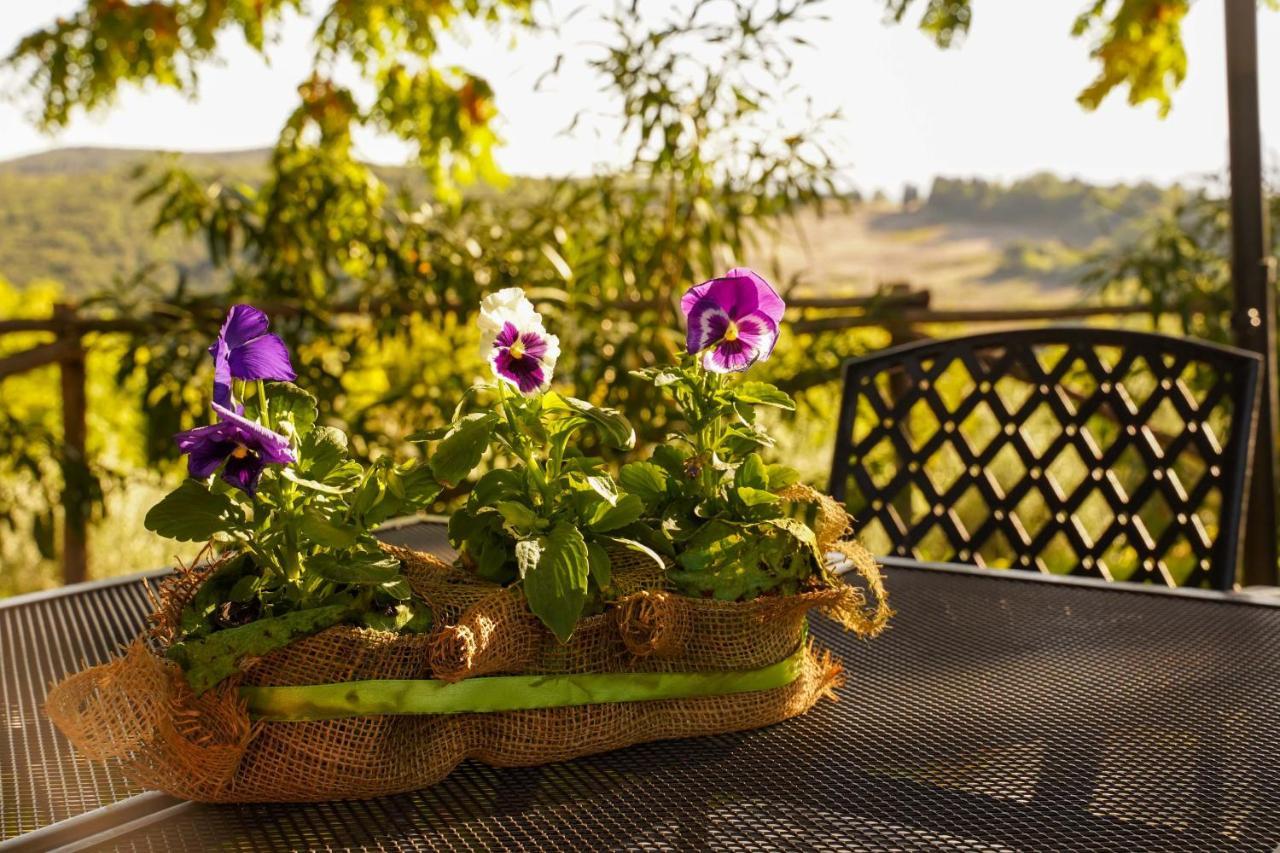 Agriturismo Podere Luchiano Amelia Eksteriør bilde