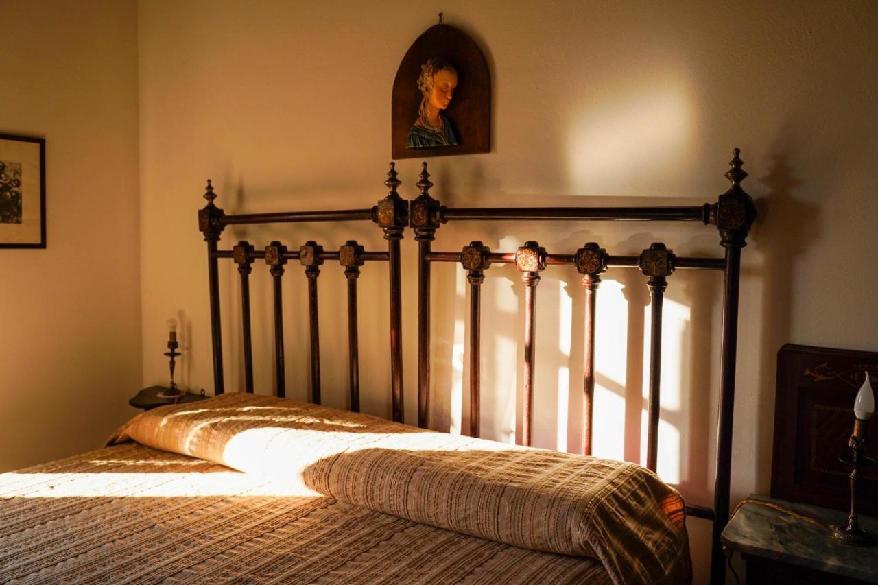 Agriturismo Podere Luchiano Amelia Eksteriør bilde