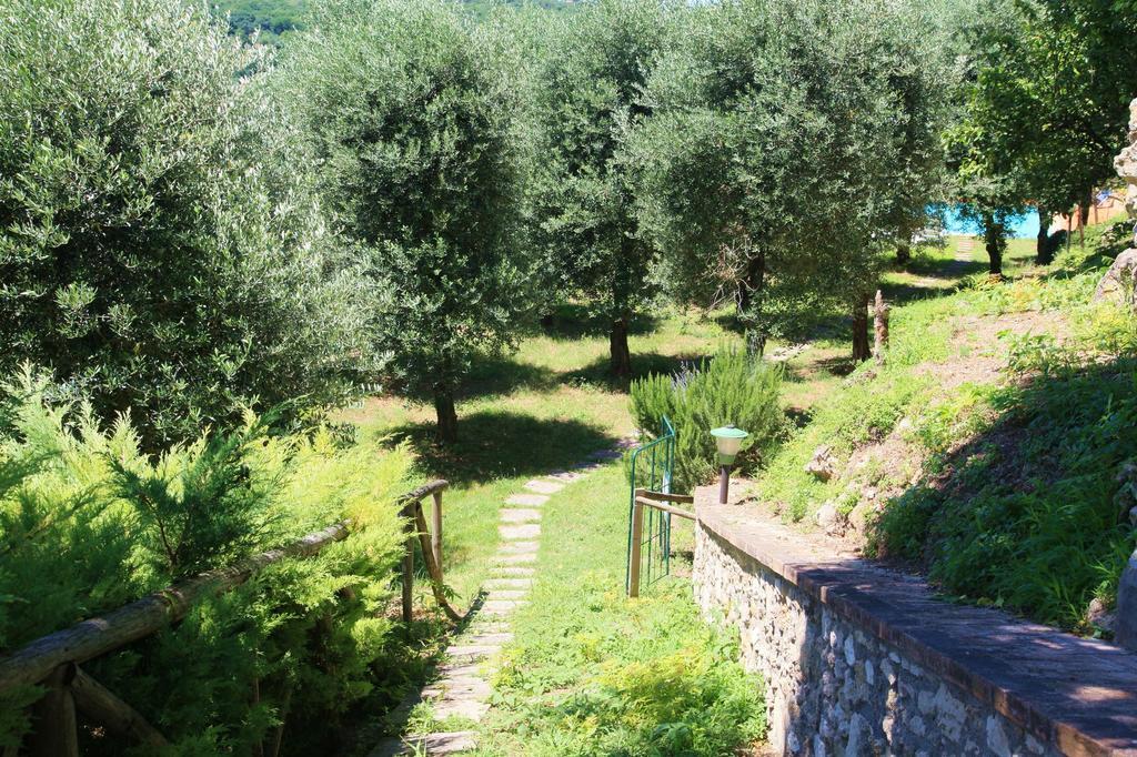 Agriturismo Podere Luchiano Amelia Eksteriør bilde