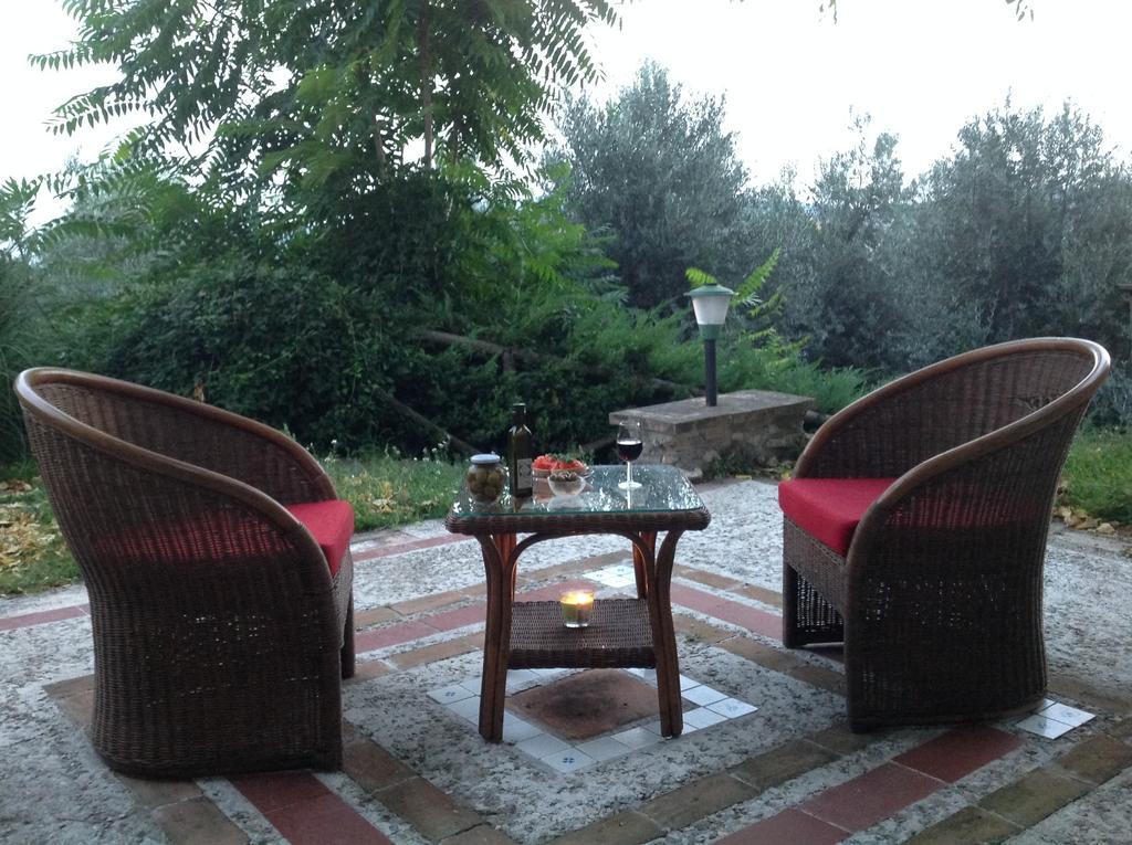 Agriturismo Podere Luchiano Amelia Eksteriør bilde