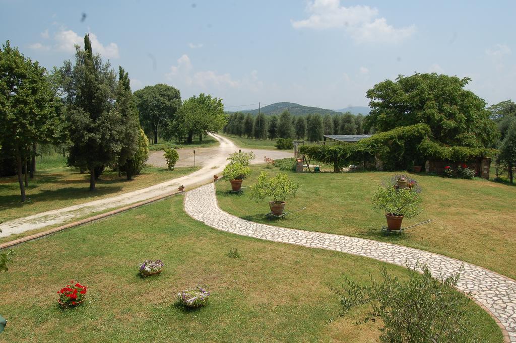 Agriturismo Podere Luchiano Amelia Eksteriør bilde