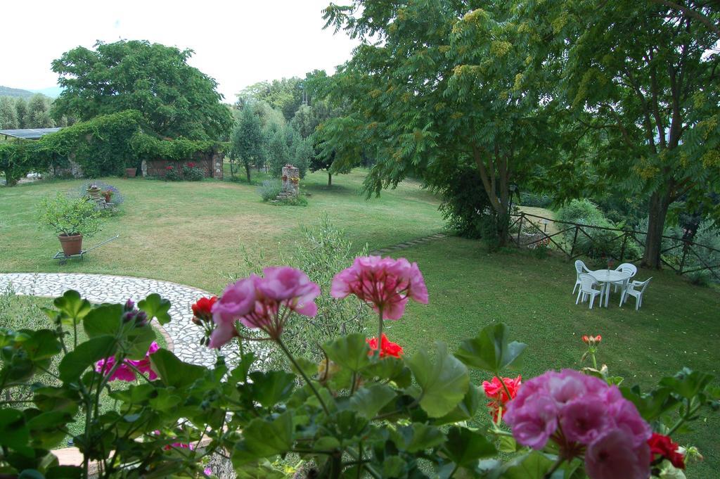 Agriturismo Podere Luchiano Amelia Eksteriør bilde