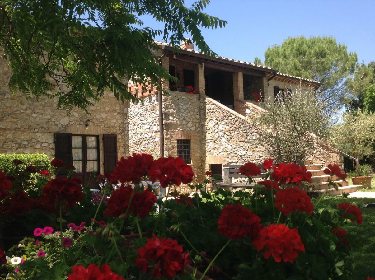 Agriturismo Podere Luchiano Amelia Eksteriør bilde