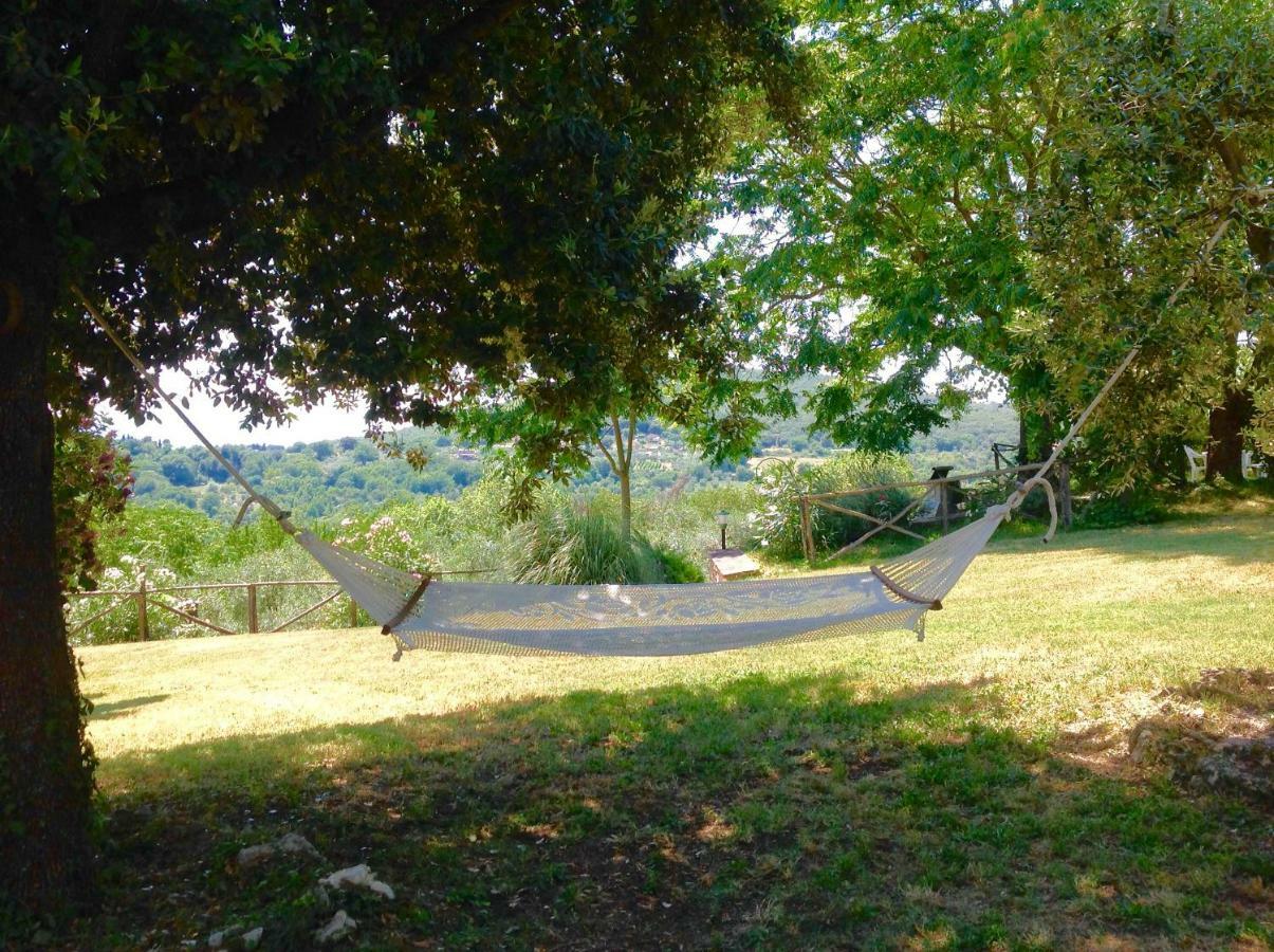 Agriturismo Podere Luchiano Amelia Eksteriør bilde
